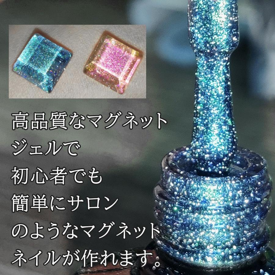 ジェルネイル カラージェル 2色セット マグネット マニキュア