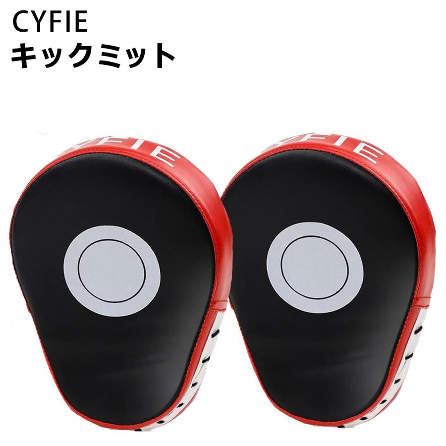 キックミット パンチングミット ボクシングミット ミット打ち 空手