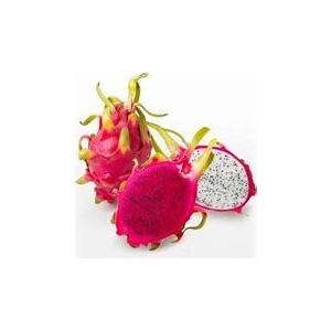 豪華 フルヤの減農薬フルーツ ドラゴンフルーツ 5ｋｇ M Lサイズ 即発送可能 Alburhan In