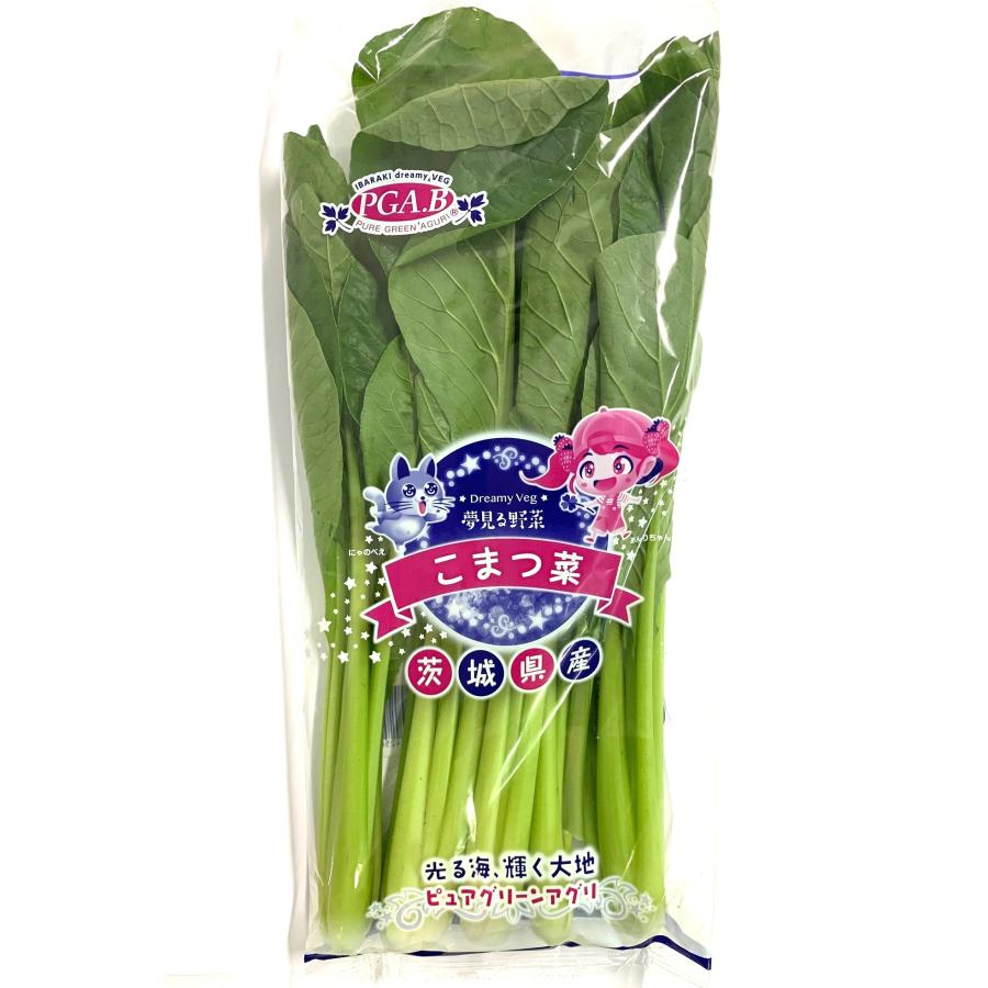 朝市場直行】茨城県ほか 小松菜（袋）約200g【冷蔵】 爆買 : ビー