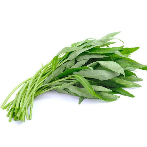 朝市場直行】茨城県ほか エンサイ 空心菜 空芯菜（袋）約100g x6個