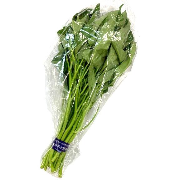 【冷蔵便】空心菜/空芯菜/エンサイ/千葉県産/約5kg入/業務用 空芯菜(空心菜)5kg 業務用 千葉県産 | 茉莉商店