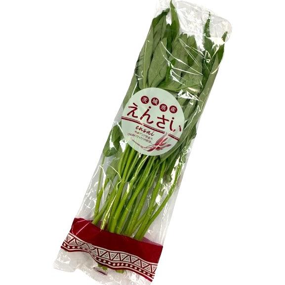 朝市場直行】茨城県ほか エンサイ 空心菜 空芯菜（袋）約100g【冷蔵