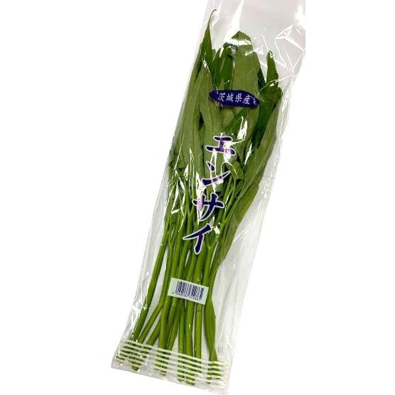 朝市場直行】茨城県ほか エンサイ 空心菜 空芯菜（袋）約100g【冷蔵