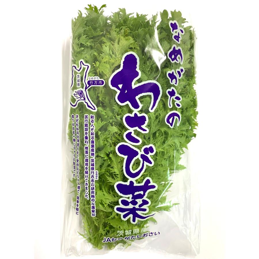 朝市場直行】栃木県ほか わさび菜 束 約80g【冷蔵】 : ビーライフ