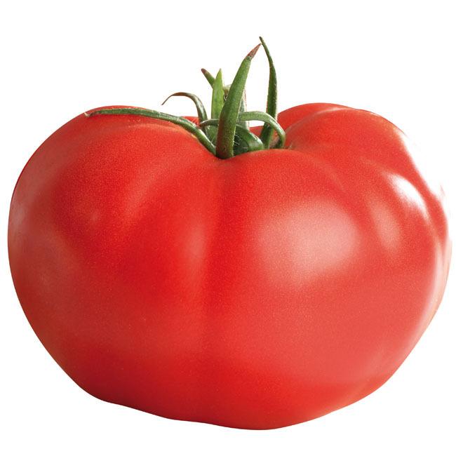 【77%OFF!】 人気新品 朝市場の新鮮野菜 トマト Mサイズ 約150g 1個 冷蔵 sombel.ru sombel.ru