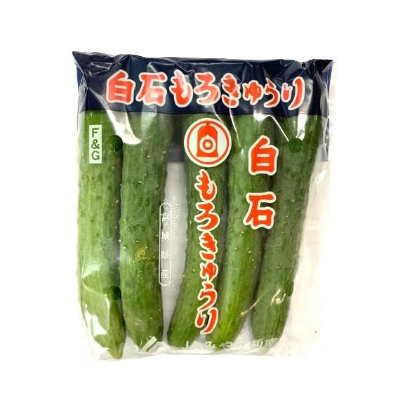 送料無料【朝市場直行】宮城県ほか もろきゅう 1袋（5〜6本入り）約