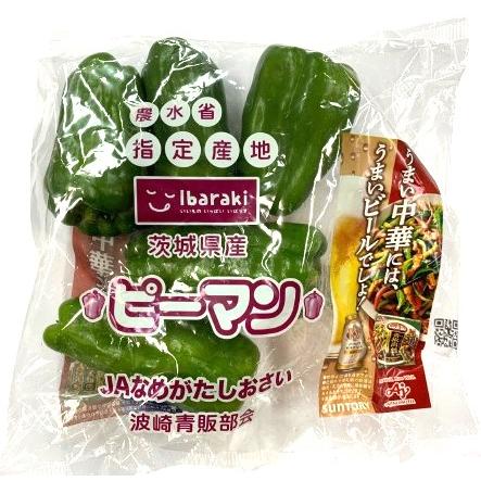 朝市場直行】宮崎県ほか ピーマン（4〜6個入袋）約130〜150g【冷蔵