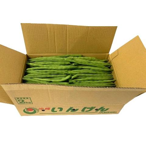 送料無料【朝市場直行】沖縄県ほか インゲン Mサイズ 1kg x2個セット