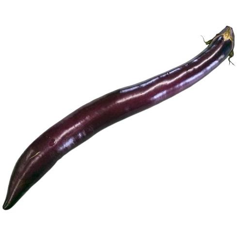 送料無料【朝市場直行】熊本県ほか 大長なす 1本 約200g x2個セット