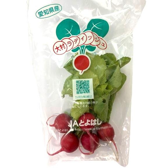 朝市場直行】福岡県ほか ラディッシュ （5個入袋）約35〜50g【冷蔵