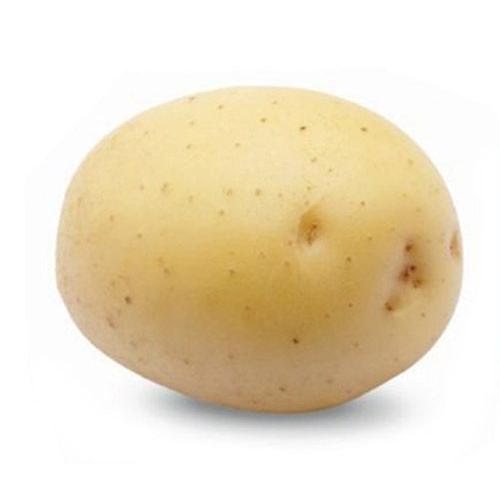 朝市場の新鮮野菜 じゃがいも Lサイズ 約1g 1個 Fs ビーライフショップ 通販 Yahoo ショッピング