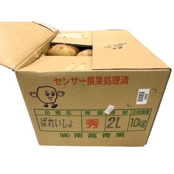 朝市場直行】業務用・送料無料 北海道ほか じゃがいも 2Lサイズ 10kg