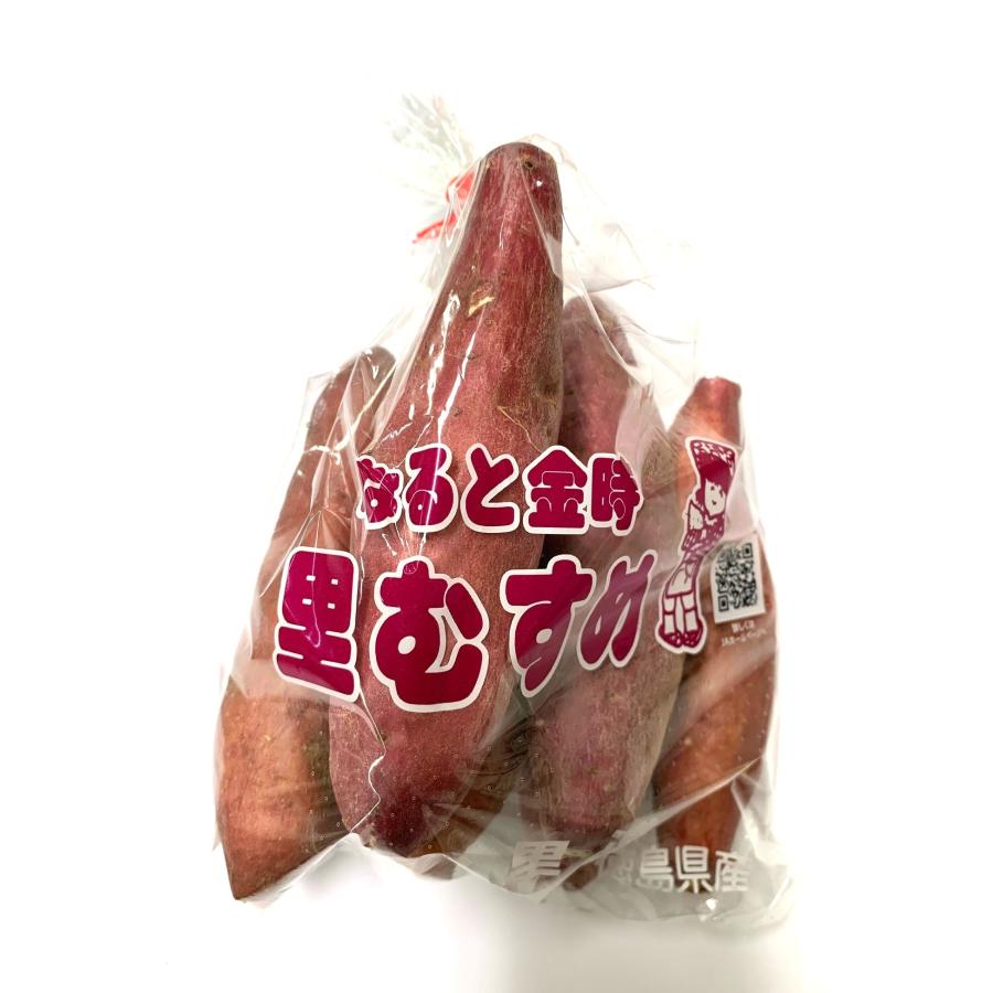 朝市場直行】徳島県ほか さつま芋 鳴門金時（なるときんとき）PC 約