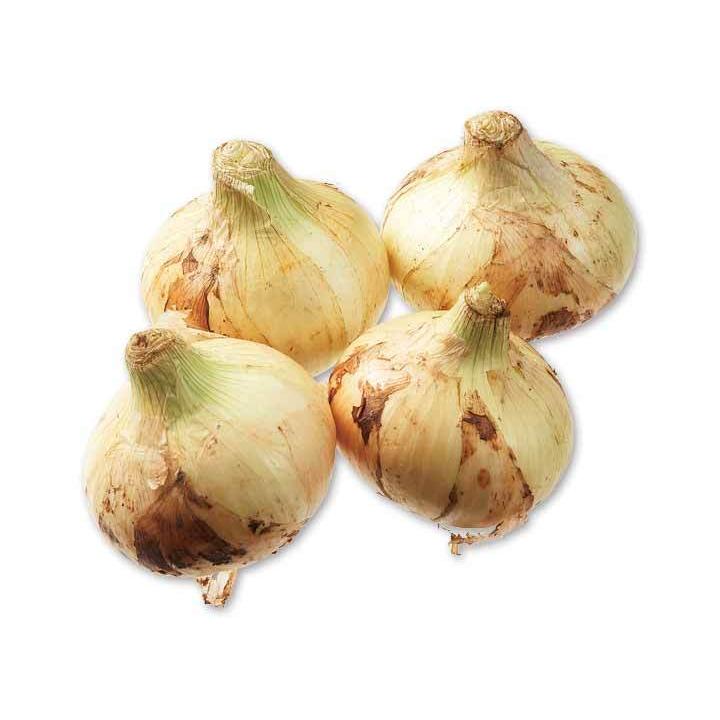 送料無料【朝市場直行】長崎県ほか 新玉ねぎ 1kg x2個セット【冷蔵