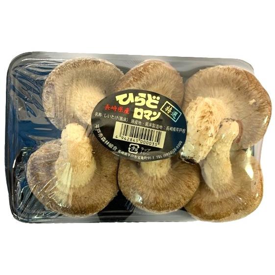 朝市場直行】長崎県ほか しいたけ（大サイズ6入）約170〜200g【冷蔵