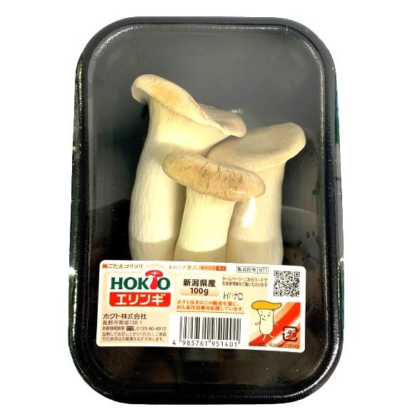 送料無料【朝市場直行】新潟県ほか エリンギ PC 約100g x2個セット