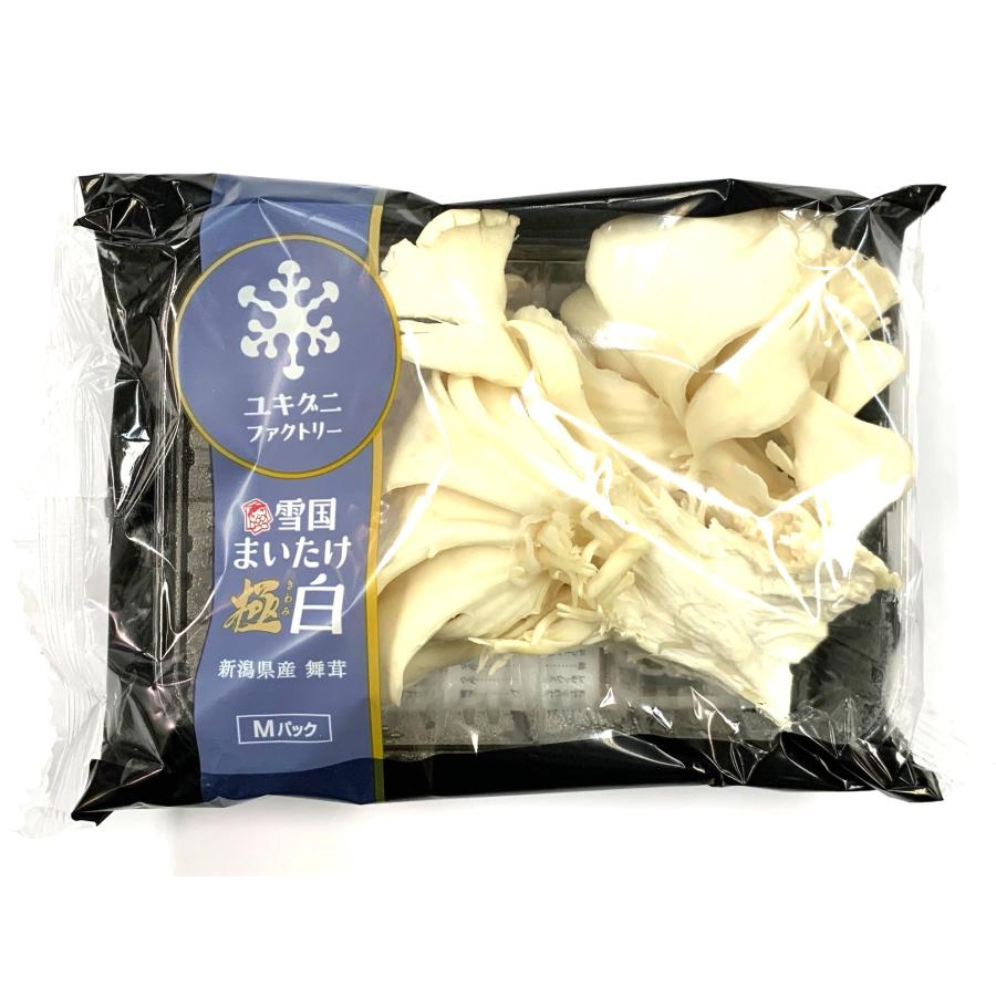 送料無料【朝市場直行】新潟県ほか 白舞茸（白まいたけ）PC 約100g x2