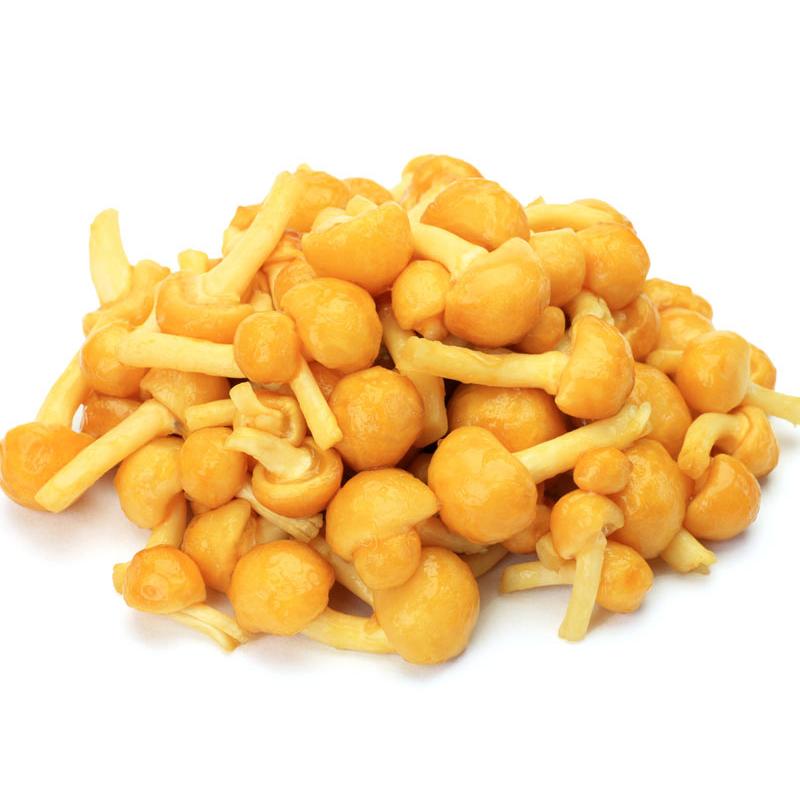 朝市場直行】山形県ほか なめこ（袋）約100g【冷蔵】 : ビーライフ