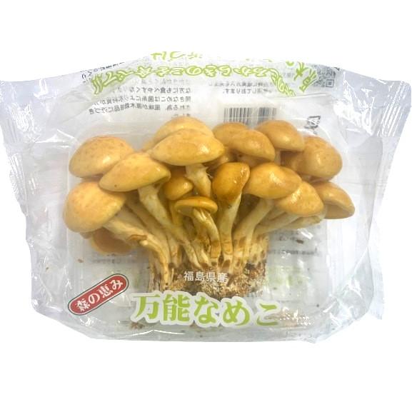 送料無料【朝市場直行】福島県ほか 万能なめこ ジャンボなめこ 1パック