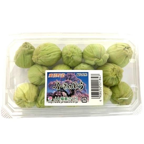 【朝市場直行】福島県ほか ふきのとう PC 約100g x6個セット【冷蔵】山菜の画像
