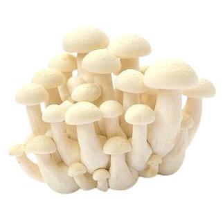 朝市場の新鮮野菜 ブナピー 白 約100ｇ 袋 Fs ビーライフショップ 通販 Yahoo ショッピング