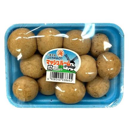 送料無料【朝市場直行】茨城県ほか ブラウンマッシュルーム PC 約100g