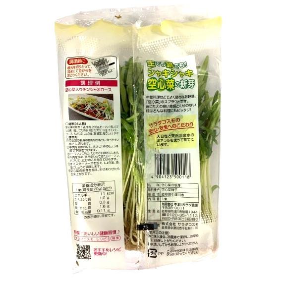 朝市場直行】岐阜県ほか 空芯菜 空心菜の芽 PC 約100g x6個セット