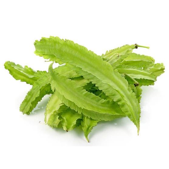 朝市場直行】沖縄県ほか うりずん豆 四角豆（しかくまめ）PC 約100g