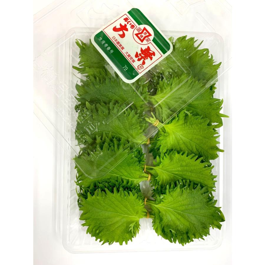 朝市場直行】愛知県ほか 業務用 大葉（青じそ）1束（10枚）x10個セット
