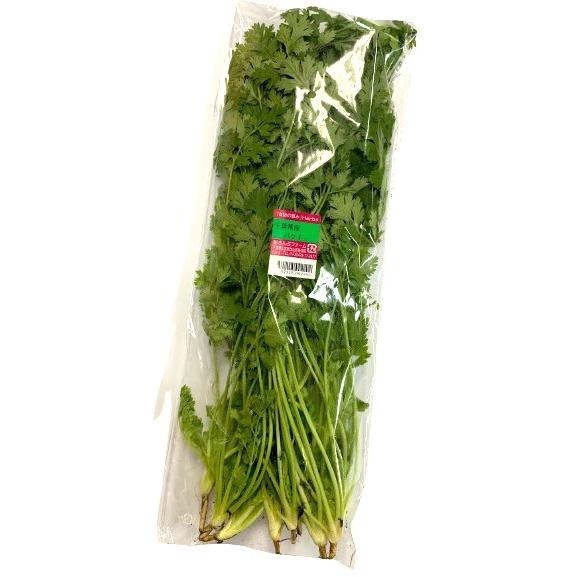 朝市場直行】千葉県ほか コリアンダー パクチー（香菜）1束 約100g x4