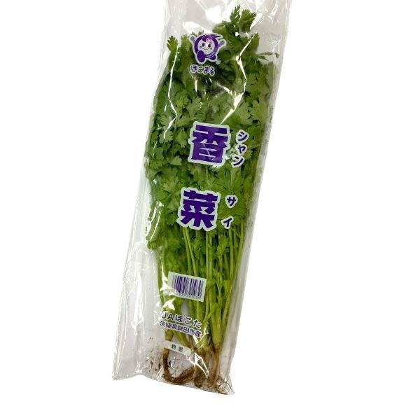 香菜/パクチー/千葉県産/約3kg入/業務用 朝市場直行】千葉県ほか コリアンダー パクチー（香菜）1束 約100g x4