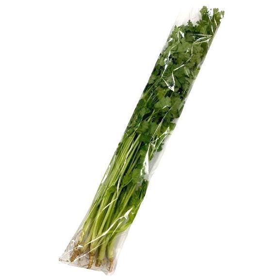 朝市場直行】千葉県ほか コリアンダー パクチー（香菜）1束 約100g