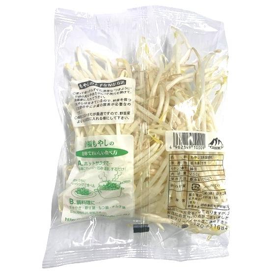 朝市場直行】栃木県ほか もやし小（袋）250g x4個セット【冷蔵