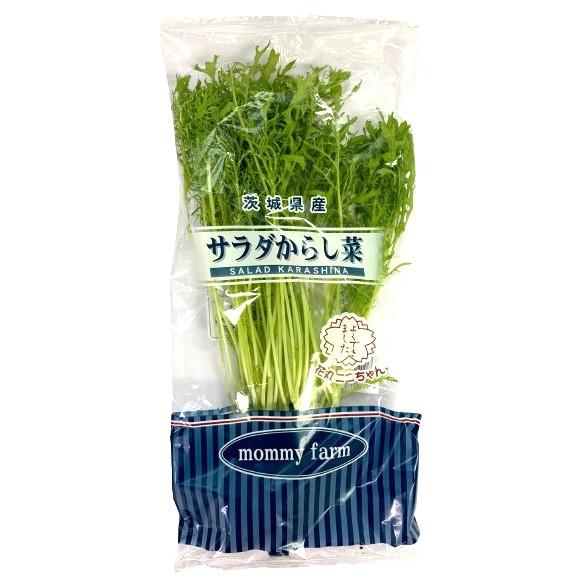 朝市場直行】茨城県ほか からし菜（リーフマスタード）PC 約50g【冷蔵