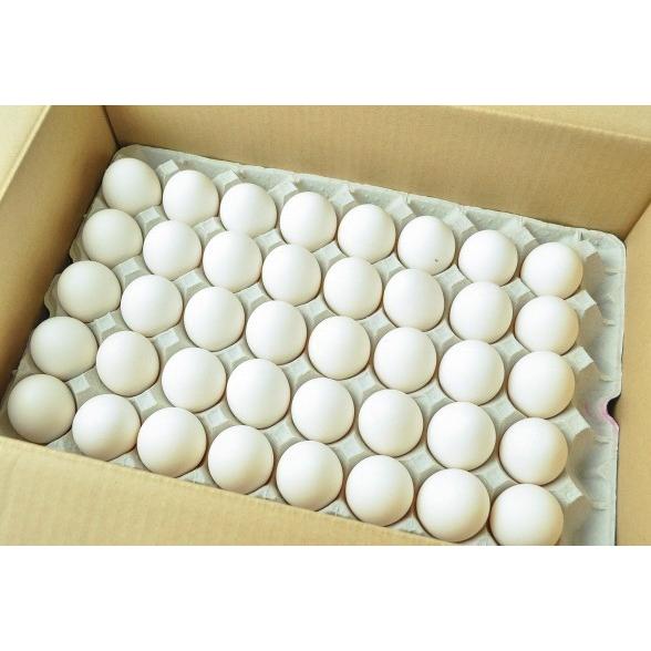 朝市場直行 バラ詰め鶏卵（MS）180個前後 国産 10kg位【冷蔵】玉子