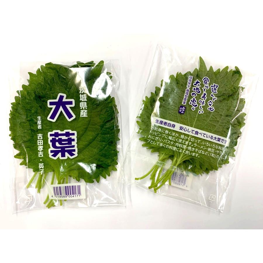 減農薬】茨城の青じそ 大葉 10枚P 10枚P x2個セット【冷蔵】 : ビー