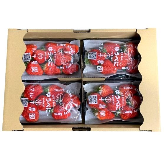 減農薬】イチゴ 熊本のいちご（こいみのり または ゆうべに）1P約250g