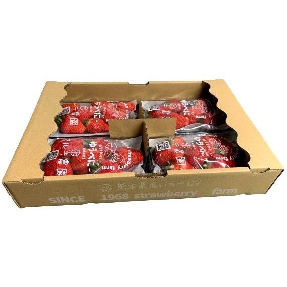 減農薬】イチゴ 熊本のいちご（こいみのり または ゆうべに）1P約250g
