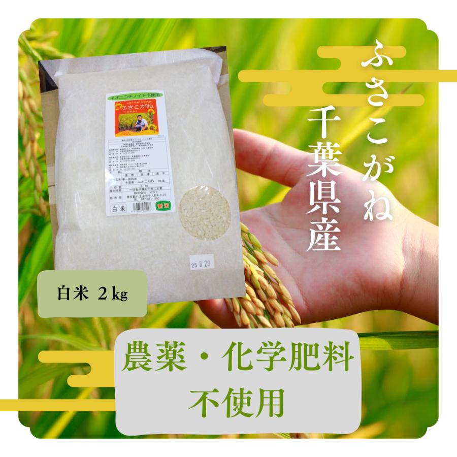 令和６年産　千葉県産ふさこがね25㎏（白米） 楽天市場】【ふるさと納税】 【令和6年産】長生産ふさこがね（白米20kg