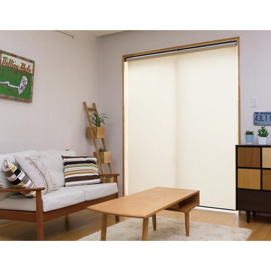 ロールスクリーン 規格品 立川機工 ティオリオ カスミ 製品幅60cm×製品高135cm ロールカーテン 採光 北欧 賃貸 間仕切り 既製品_1