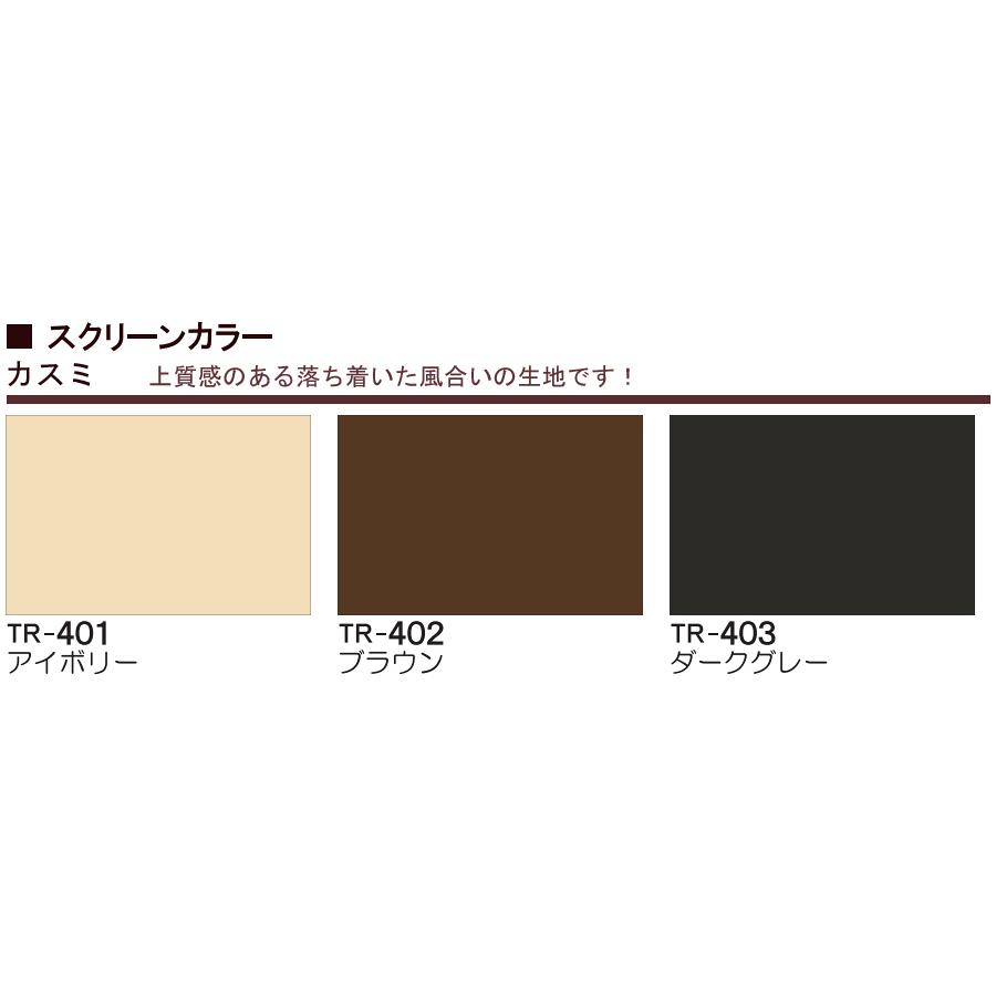 ロールスクリーン 規格品 立川機工 ティオリオ カスミ 製品幅60cm×製品高135cm ロールカーテン 採光 北欧 賃貸 間仕切り 既製品_2