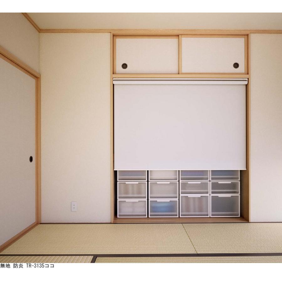 ロールスクリーン 規格品 立川機工 ティオリオ 無地 防炎 製品幅60cm×製品高135cm ロールカーテン 採光 北欧 賃貸 間仕切り 既製品_1