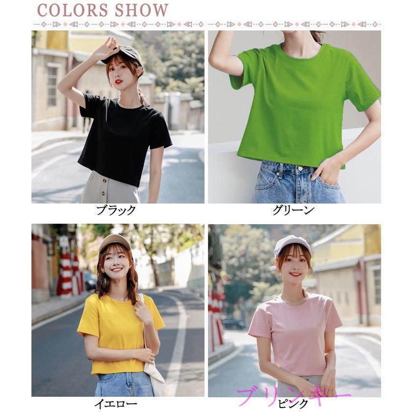 半袖 ショートTシャツ トップス 丸首 カットソー 無地 半袖tシャツ