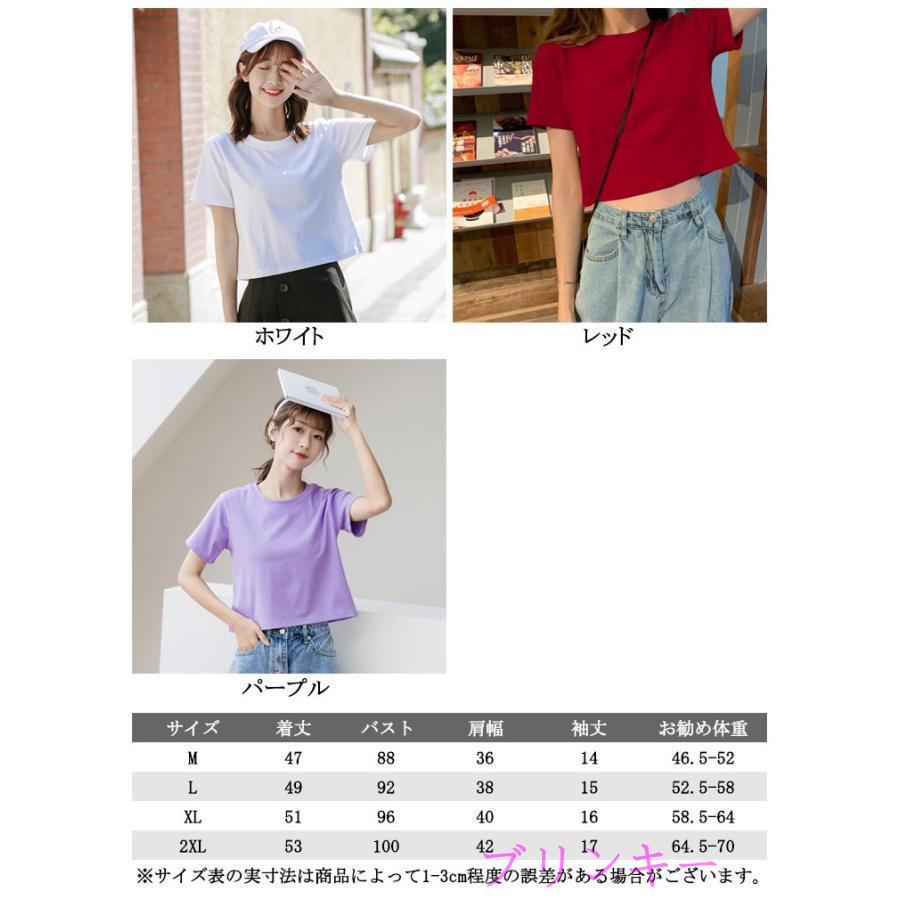半袖 ショートTシャツ トップス 丸首 カットソー 無地 半袖tシャツ