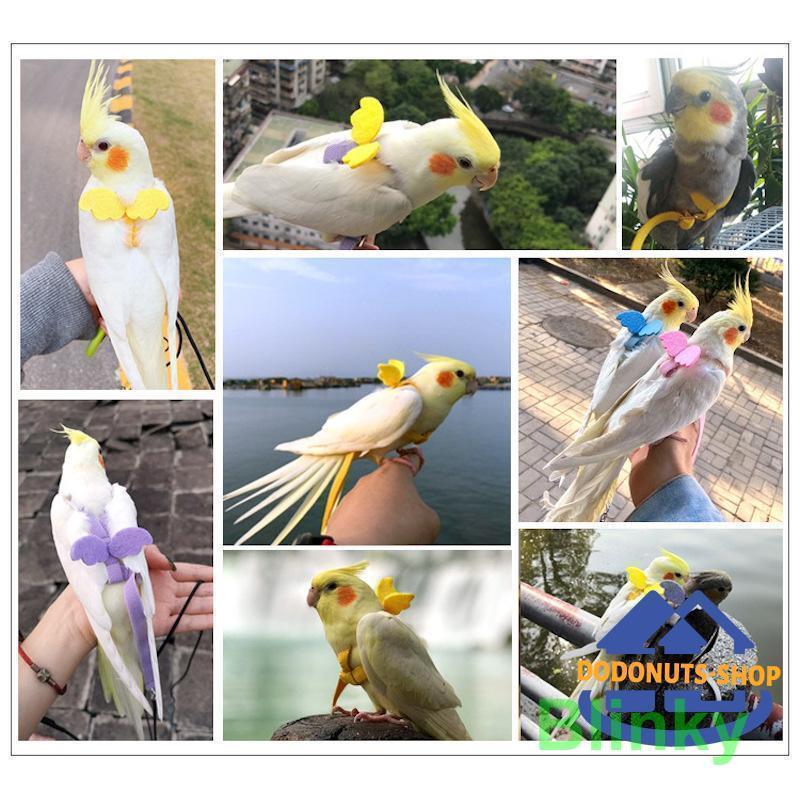 鳥用ハーネス リード ペット用品 ペットグッズ?オウム 鸚鵡 インコ 