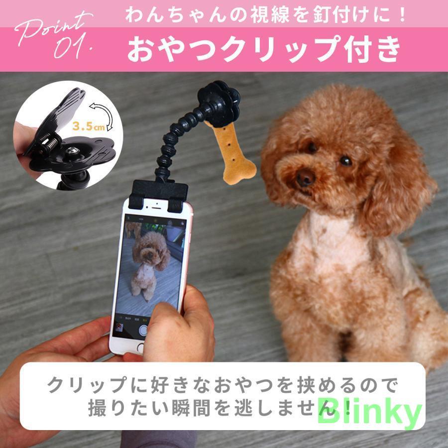 ペット用 カメラ目線 撮影 おやつクリップ しつけ トレーニング