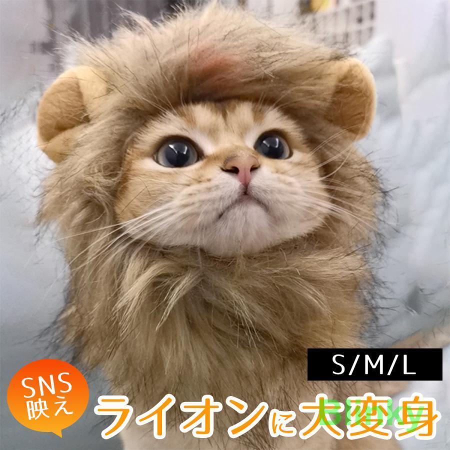 新商品!! 猫 被り物 ライオン ハロウィン 猫用ウィッグ 首周り38cm 楽天市場】「10％OFFクーポン配布中」犬 猫用ウィッグ ペット用帽子