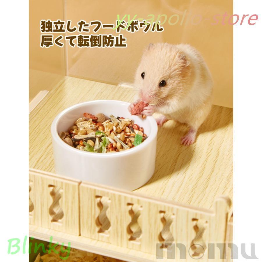 ハムスター ケージ 全面クリア 全透明 大型サイズ 飼育ケージ 透明