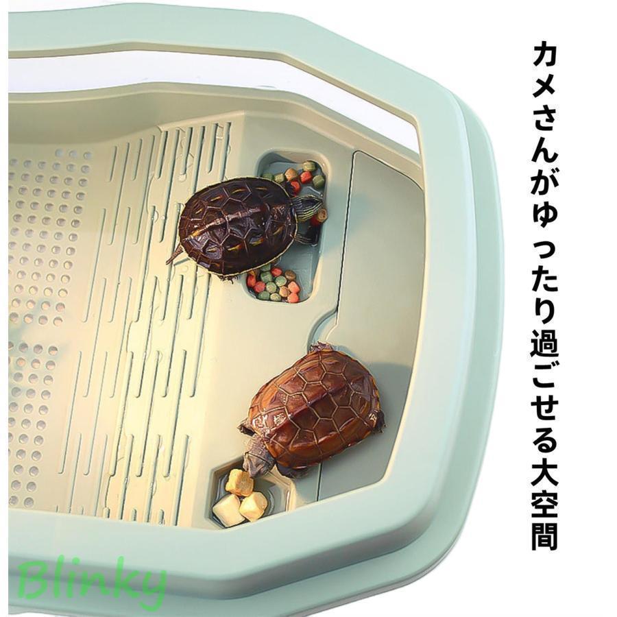 亀の水槽 cm 大きい 飼育ケース タートルタンク カメ生息地 日向ぼっこ